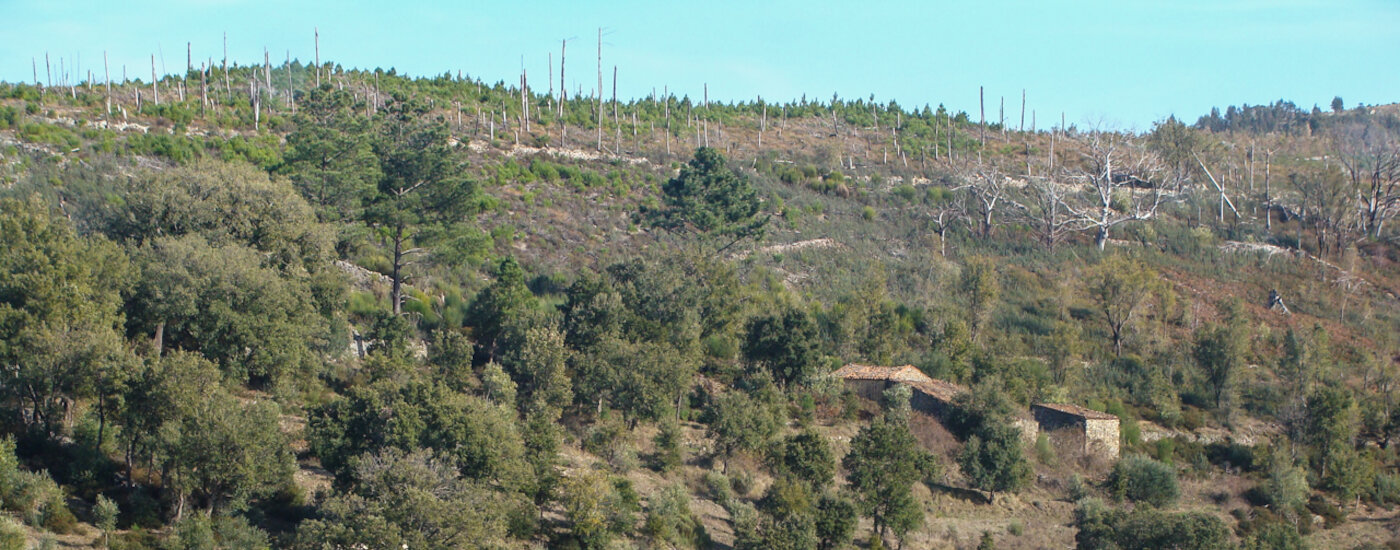 ruta transfrontera, Valencia de Alcántara, senderismo, turismo, planes, Extremadura