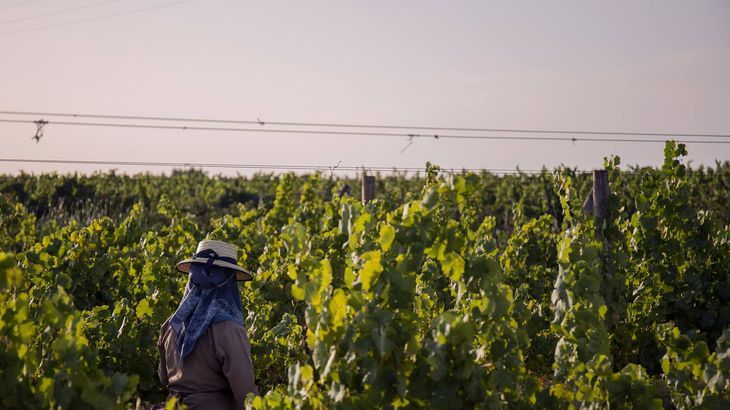 Ruta dos vinhos Alentejo enoturismo turismo vinos vora Monsaraz Esporo