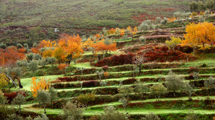 otoo paisajes turismo turismo rural Extremadura Portugal Alentejo Piornal Sintra Zafra Sao Mamede Ambroz Serra da Estrela