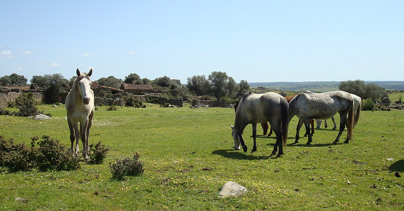 Sierra de Gata, caballos, Sonia y Juan Carlos