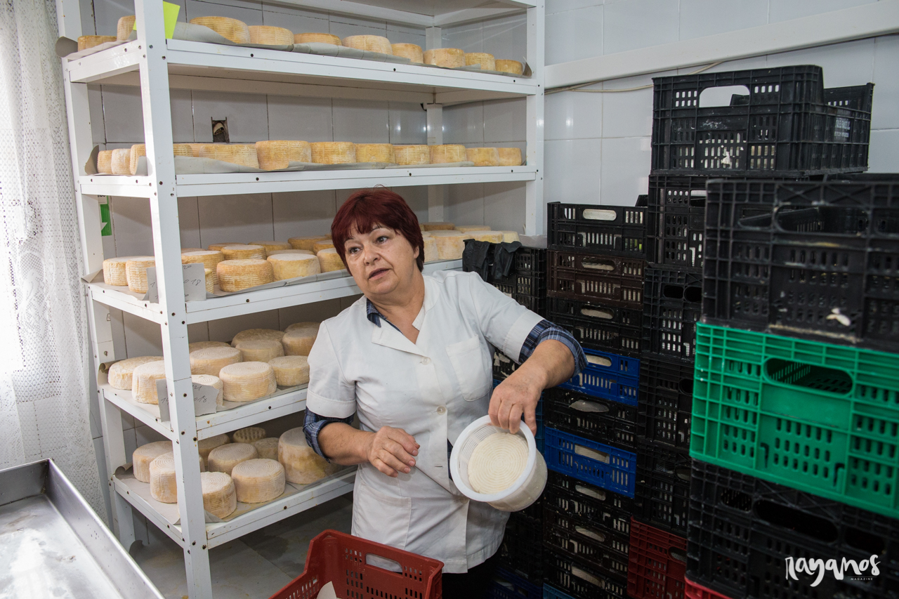 Valencia de Alcántara, queso, quesería artesanal, agronatura, Extremadura