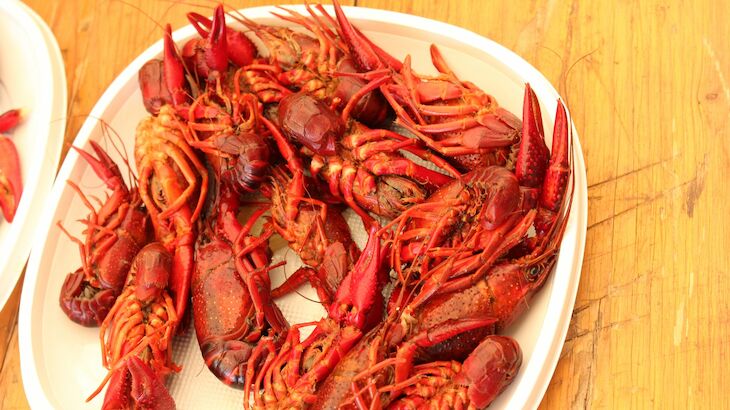 Caracoles y cangrejos reclamos gastronmicos para pasar el fin de semana en Alandroal