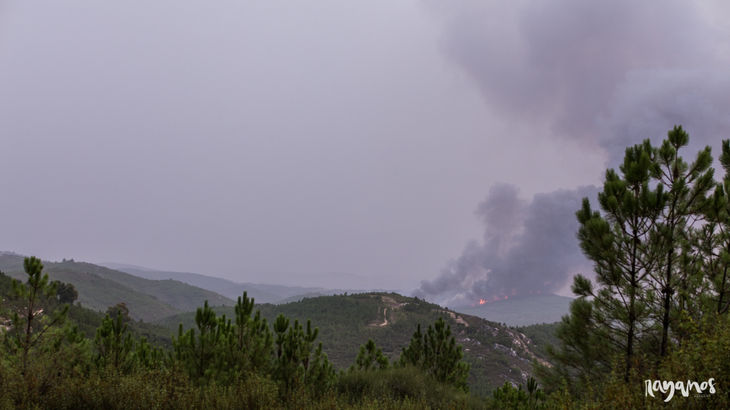 incendios Sierra de Jola Marvo agronatura Alentejo