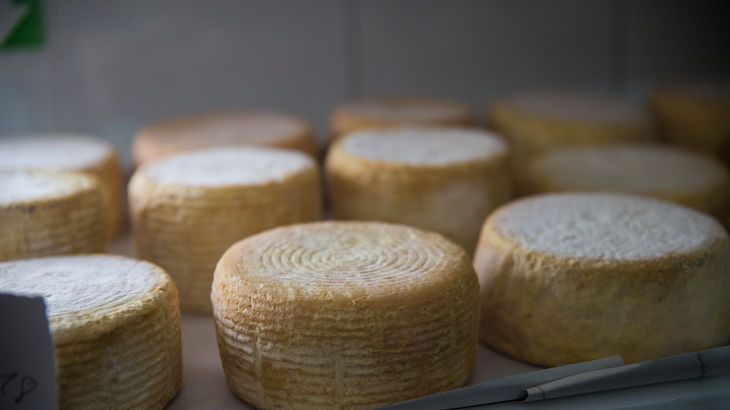 Valencia de Alcntara queso quesera artesanal agronatura Extremadura