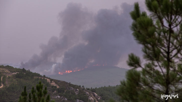 incendio Marvo Jola Alentejo Extremadura agronatura