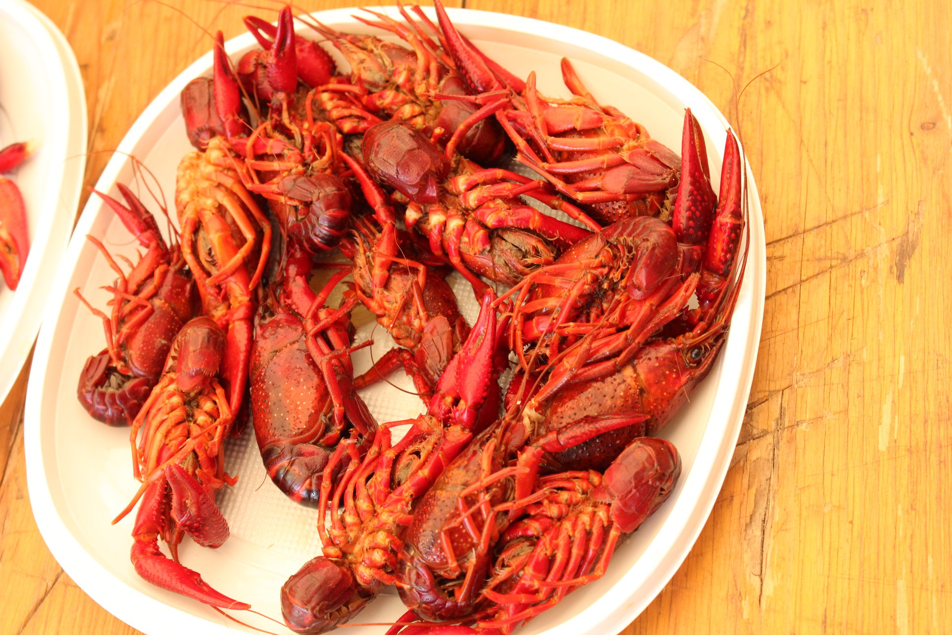 Caracoles y cangrejos, reclamos gastronómicos para pasar el fin de semana en Alandroal